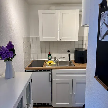 In Schlossnaehe 赖因斯贝格