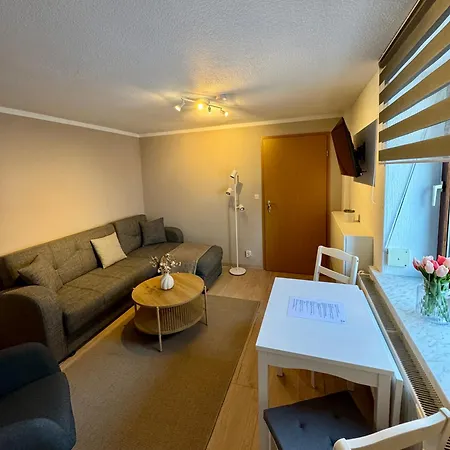 公寓 In Schlossnaehe 赖因斯贝格