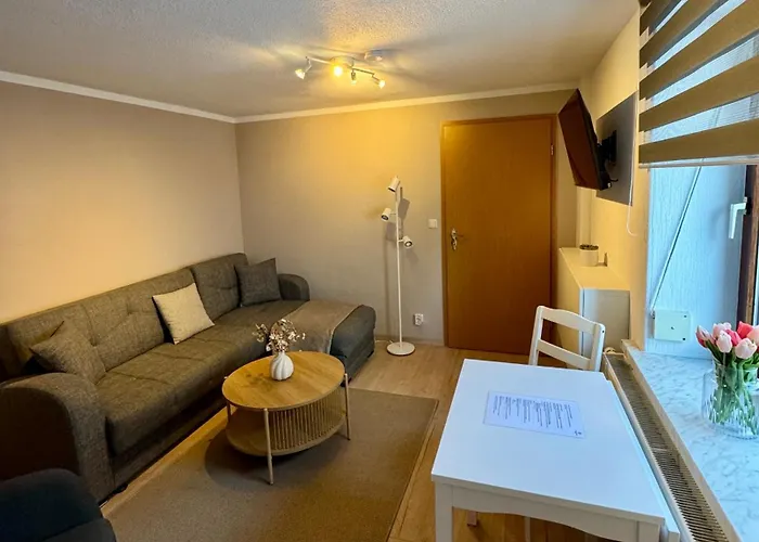 公寓 In Schlossnaehe 赖因斯贝格